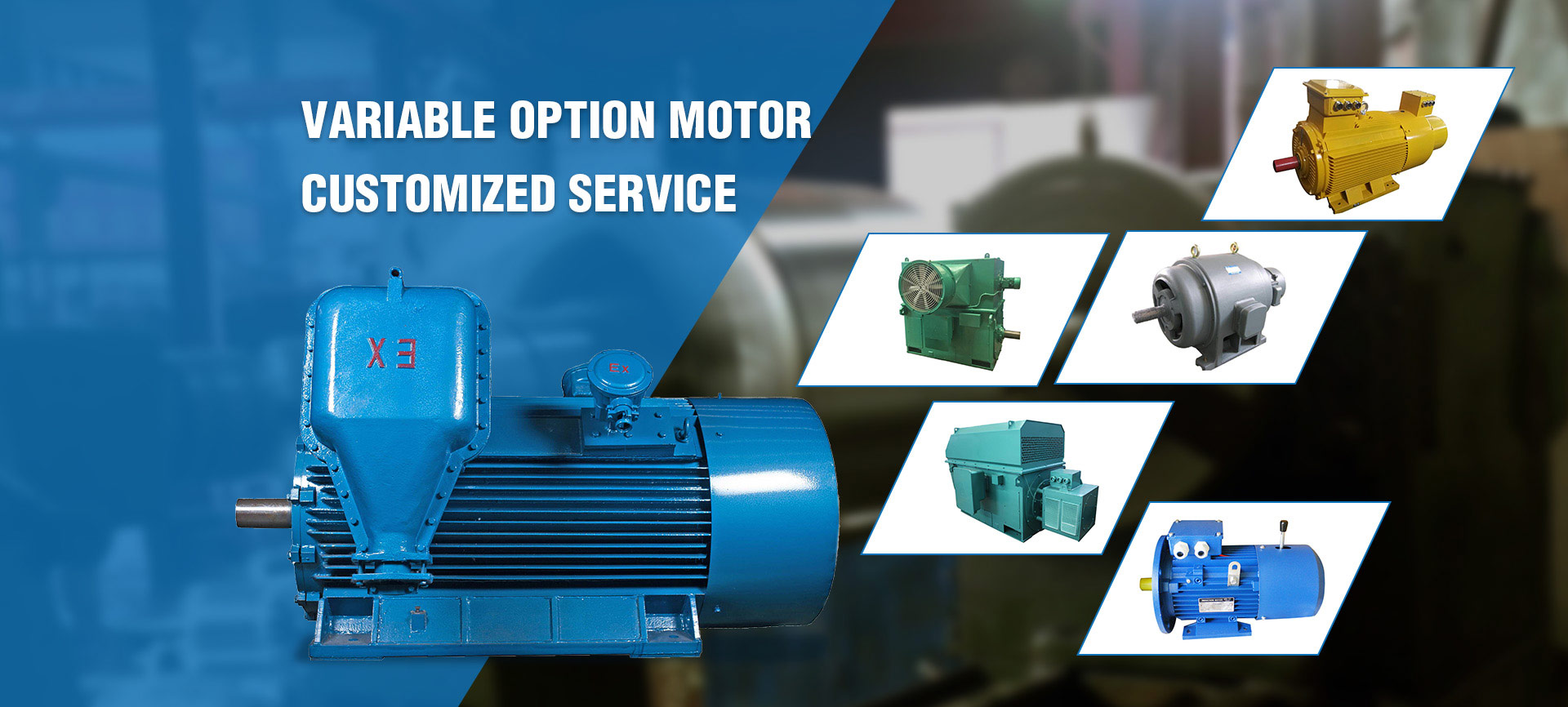 Explosion Proof Motor