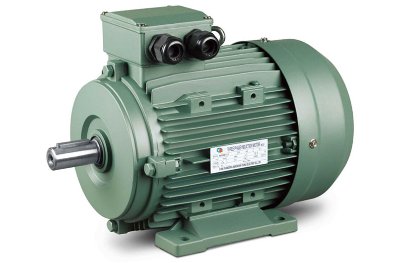 MS Series Aluminum Housing Three Phase Induction Motor