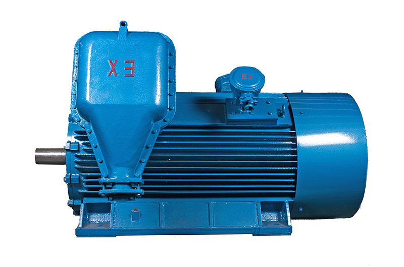 YB2 Series High Voltage Explosion-Proof Electric Motor