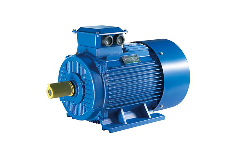 YD Series Multi-Speed Induction Motor