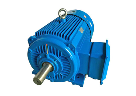 Three Phase Induction Motor	