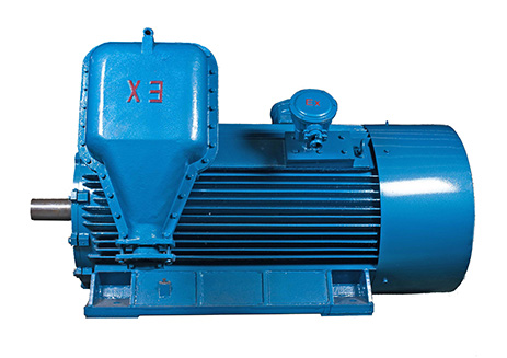 Explosion Proof Motor