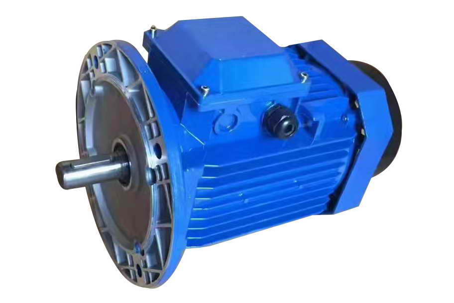 MS Series Three Phase Asynchronous Motor Motor 03