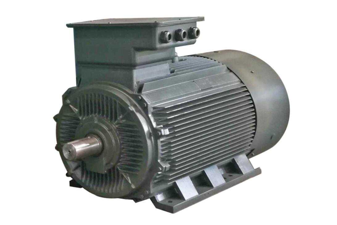 YE4 Series Super Premium Efficiency Electric Motor 04