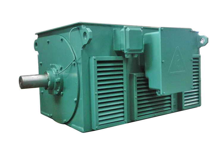 Y Series High Voltage Three Phase Asynchronous Motor 01