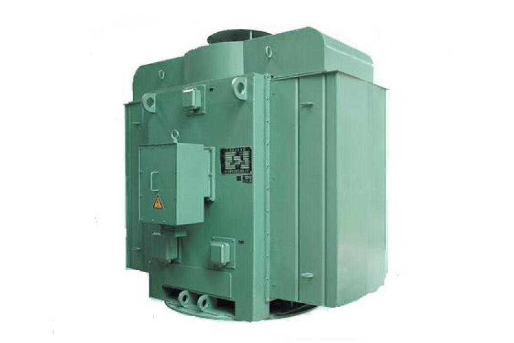 YLKK series vertical mounted high voltage asynchronous motors (5)