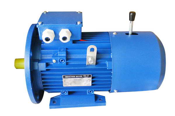 YEJ2 Series Three Phase Electromagnetic Brake Motors (4)