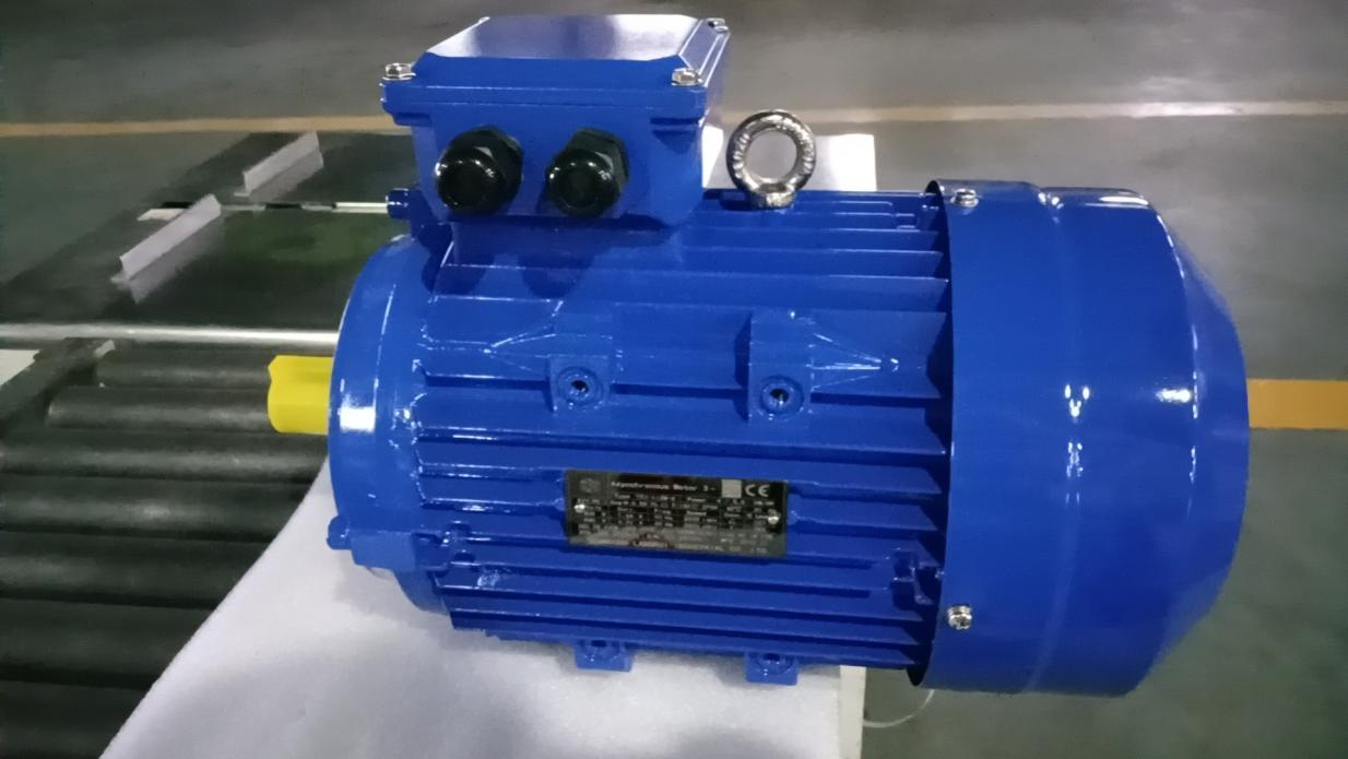 The Production Process of the YE-112M-2 4kW Induction Motor